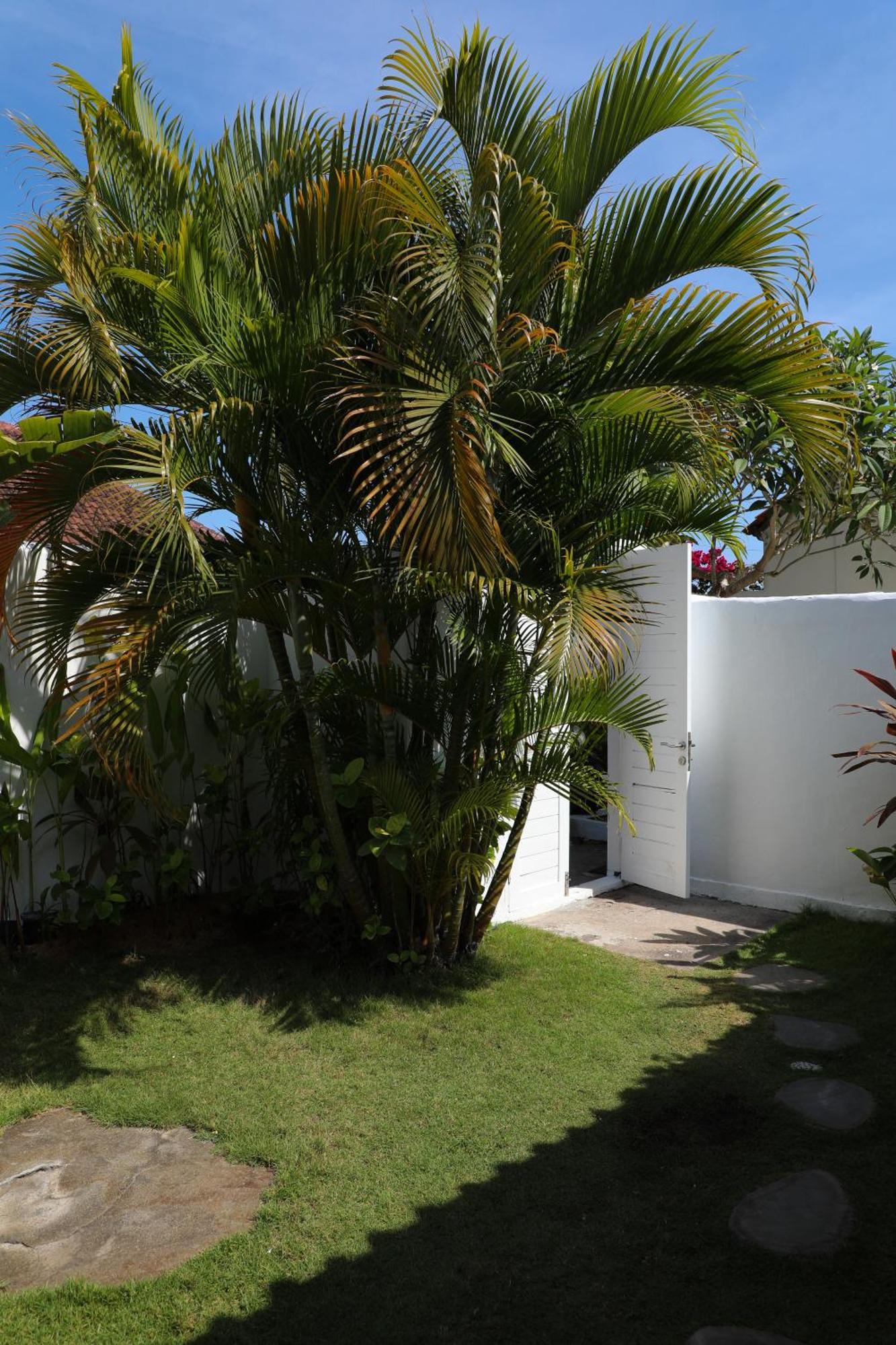 Villa Tom & Lucie Bingin Beach Uluwatu Zewnętrze zdjęcie
